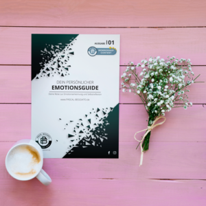 Emotionsguide – Dein Wegweiser zu Deiner persönlichen Gefühlswelt (eBook)